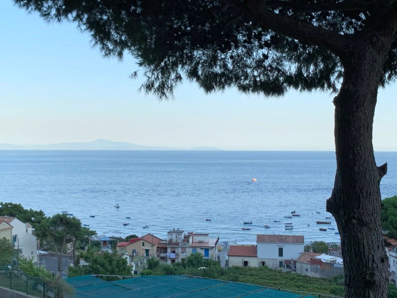 Casa Vacanze Bouganvillea
