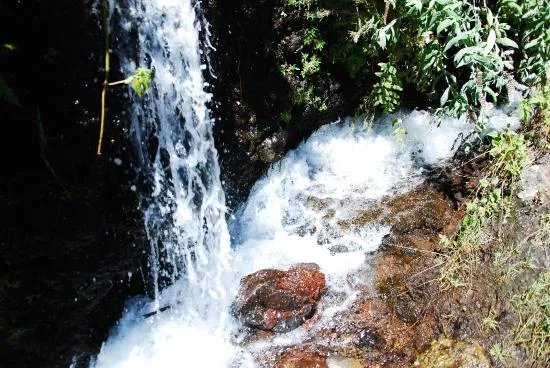 Nacientes de Marcos y Cordero
