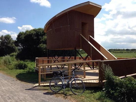 Avalon Marshes Centre