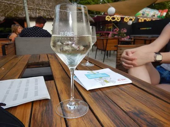 Plane Badacsony Wine terrace