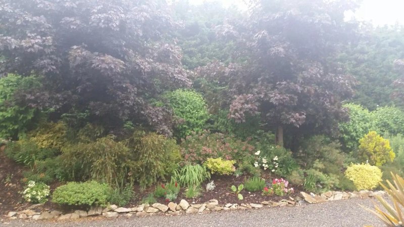 Rathmore Country House & Holiday Village