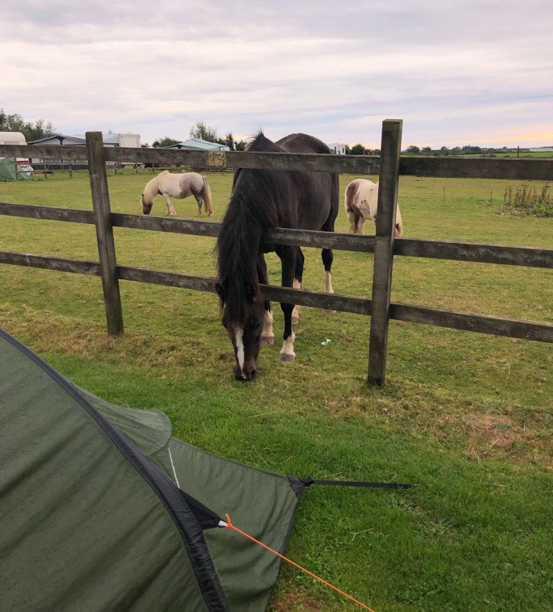 Sunnymead Farm Camping & Touring Site