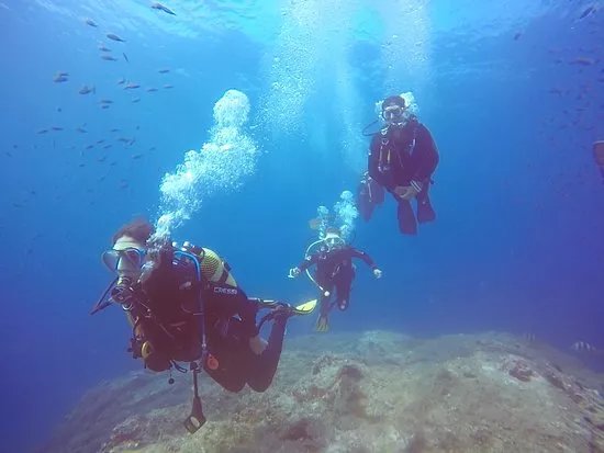 BCN Diving