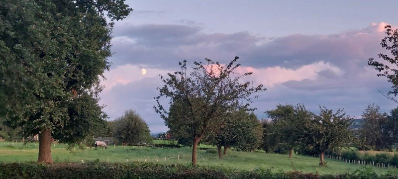 Camping De Rozenhof