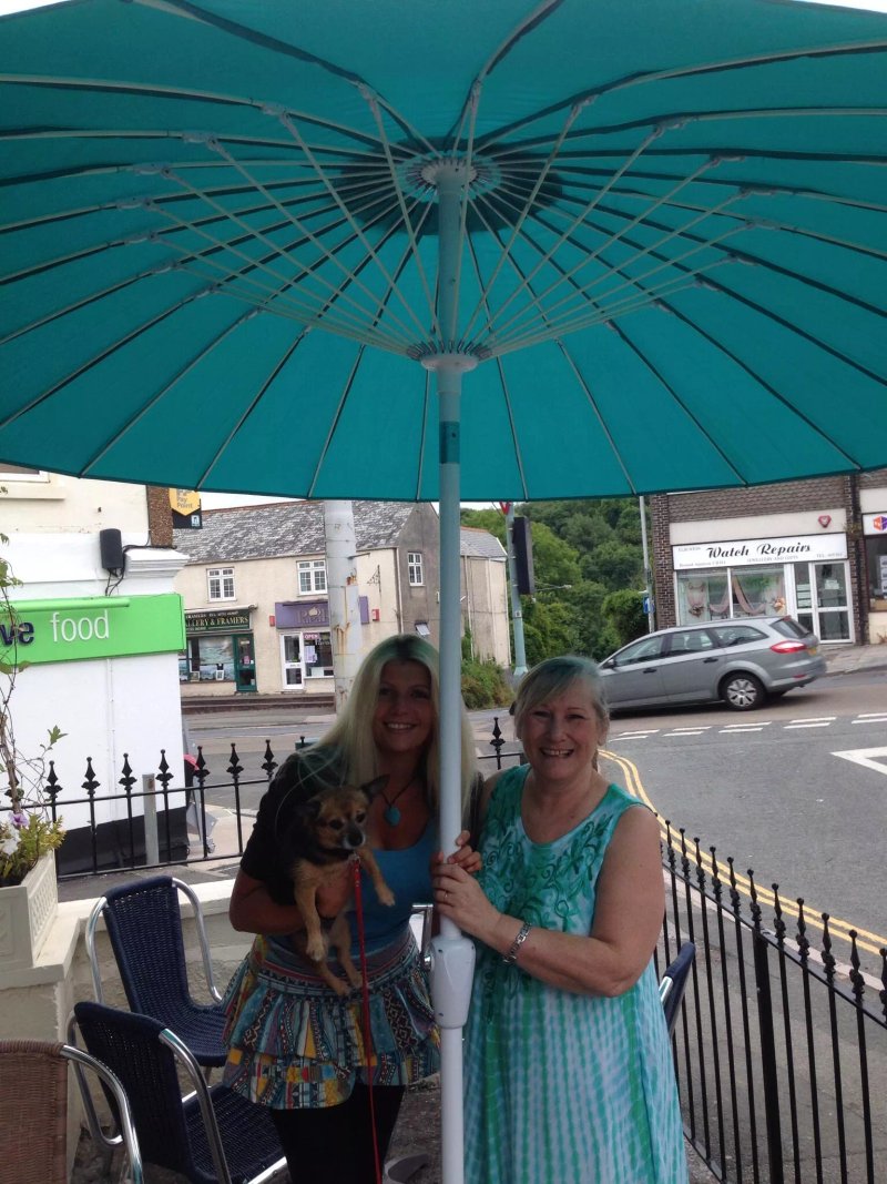 The Lemon Tree Cafe