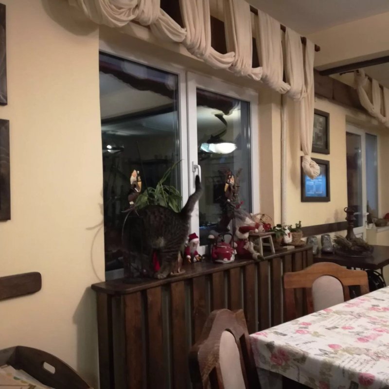 Pensiunea La Mosu