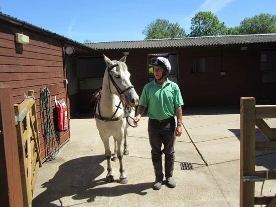 Marquis Equine