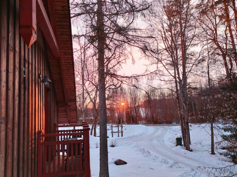 Svilpaunieki