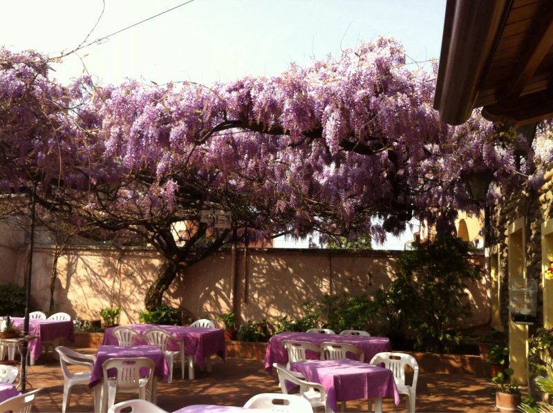 Ristorante Ai Foroni