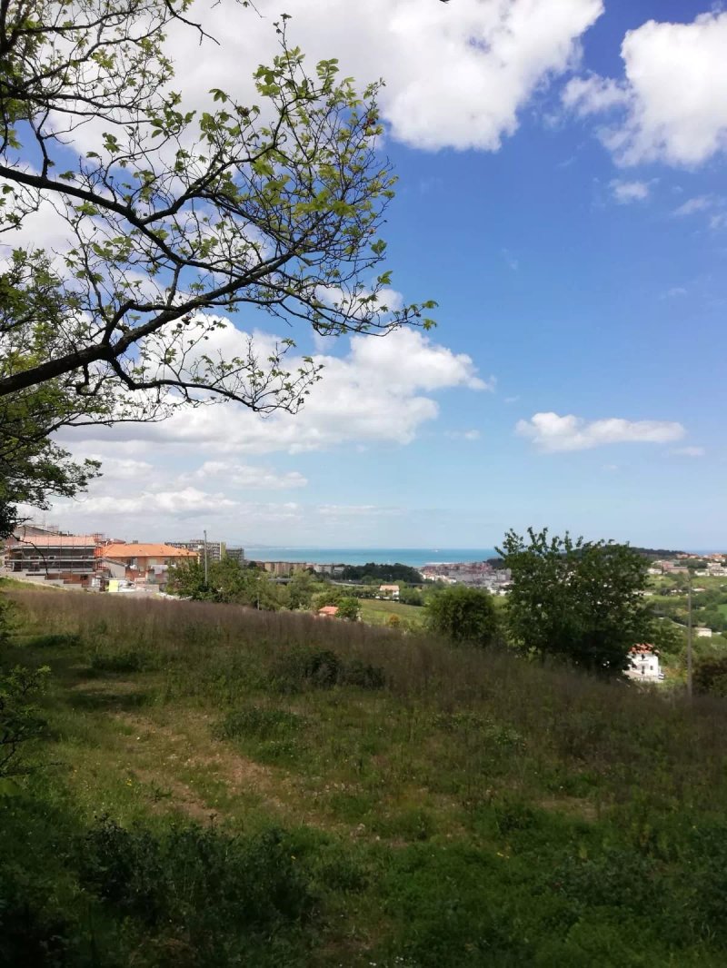B&B Villa Colle