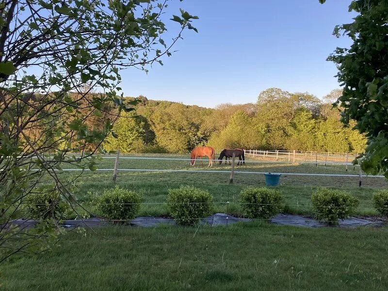 Country cottage in Briec surrounded by horses