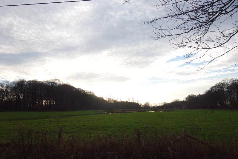 De Gulke Putten
