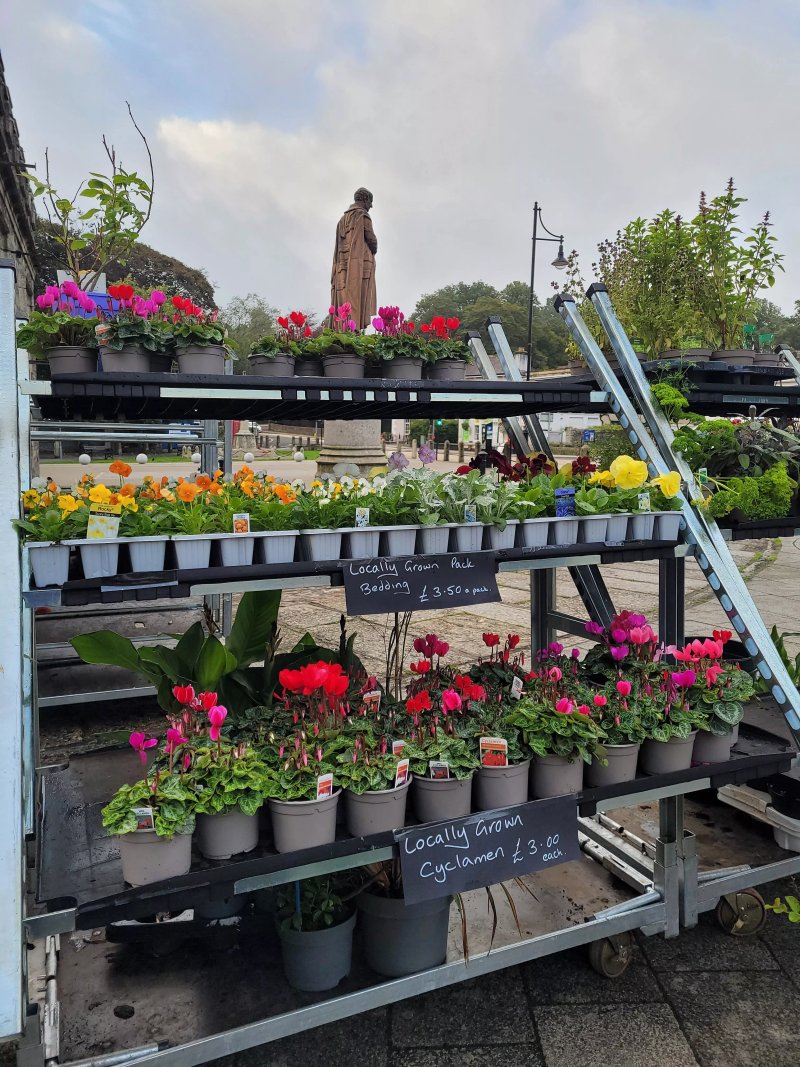 The Little Garden On The Square