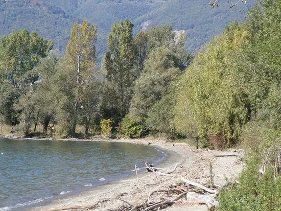 Spiaggia Selvaggia