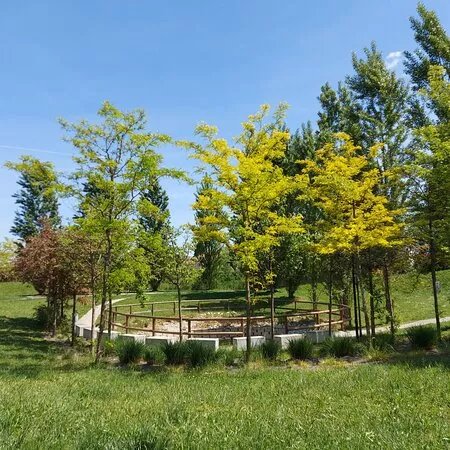 Parco Della Pace