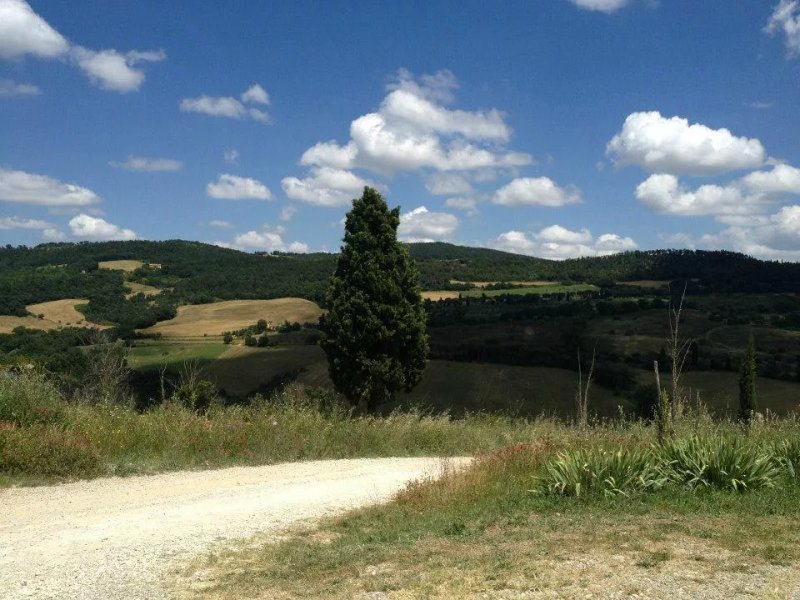 Agriturismo Podere Casanova