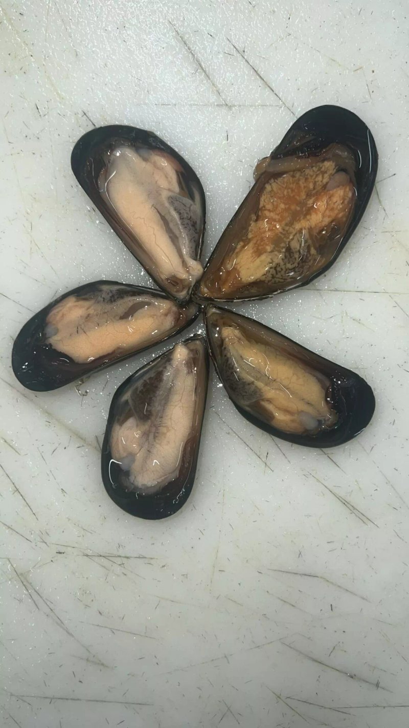 Pavi Friggitoria Cucina di Mare
