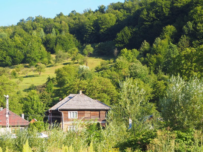 Casutele Andreica