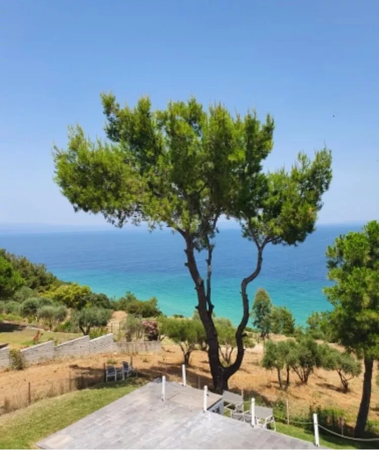Aelia Sea View Studios