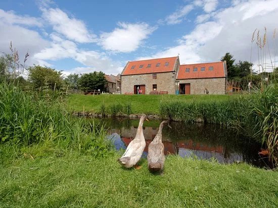 Almond Valley Heritage Centre