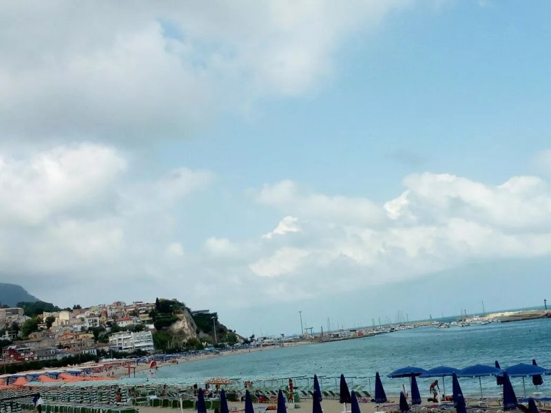 Cavalluccio Di Mare