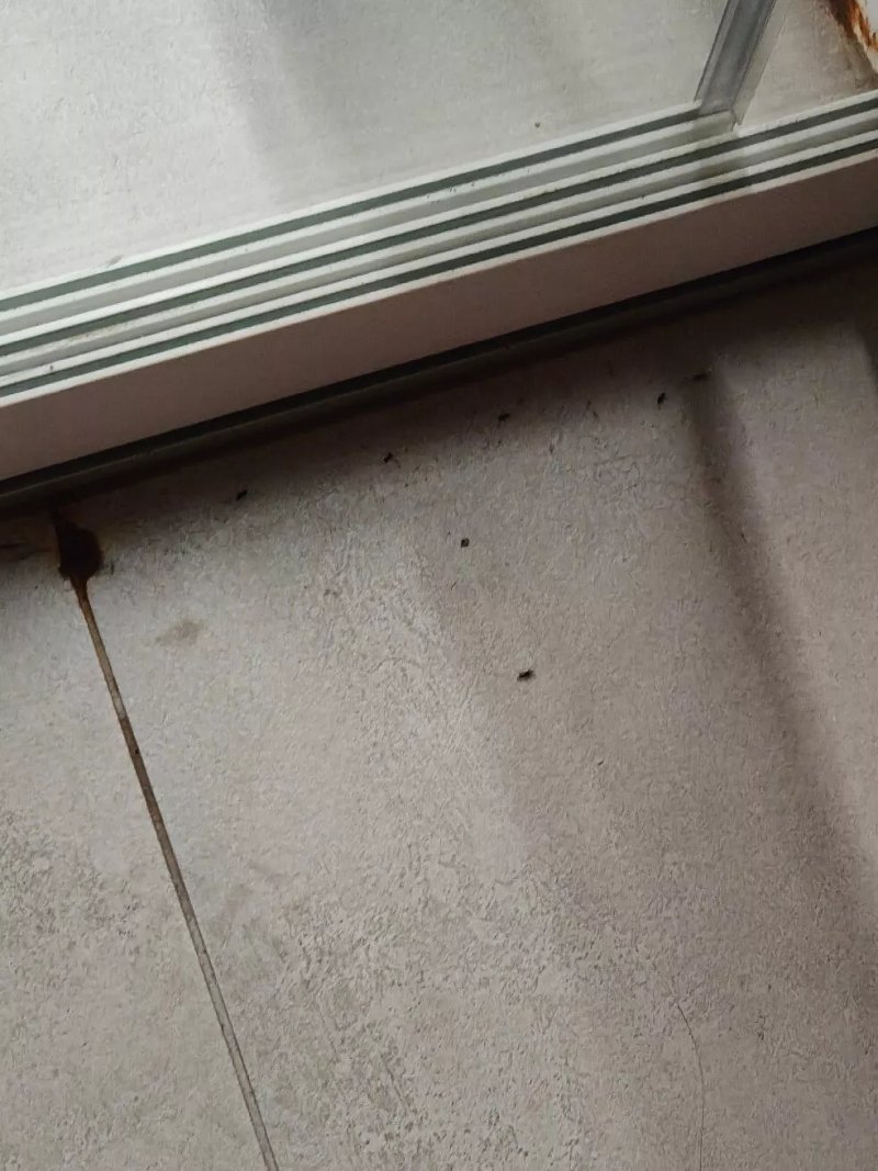 Chalet Galliano