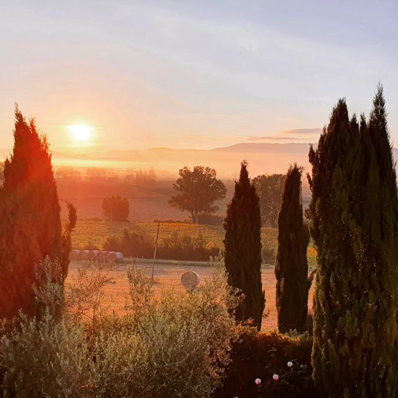 Il Poggio del Sole