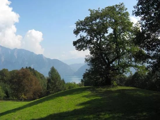 Edelkastanienwald und Waldlehrpfad