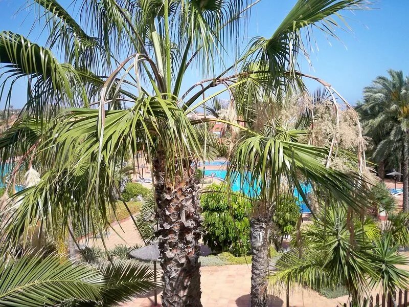 large 1 bedroom apartment in Corralejo Fuerteventura sleeps 4