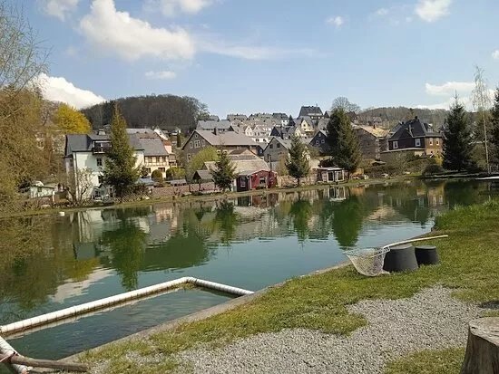 Angelteich Auerbach