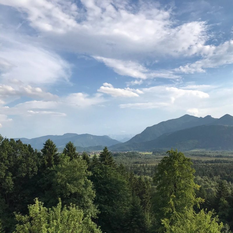 Alpenhof