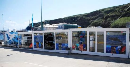 Mantamaria Dive Center Azores