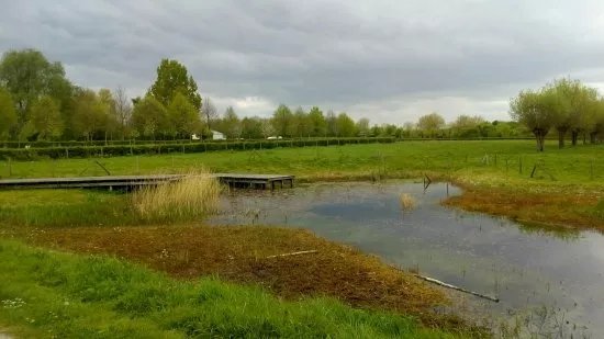 Provincial Domain Bergelen