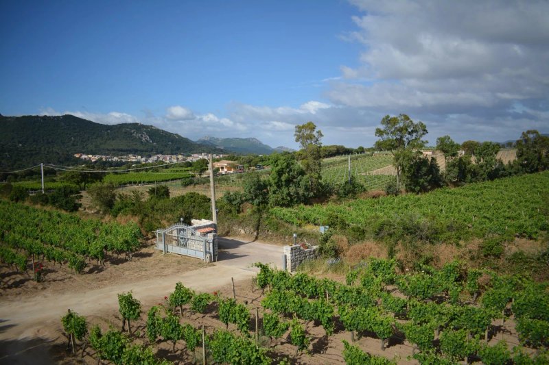 Agriturismo Il Vermentino