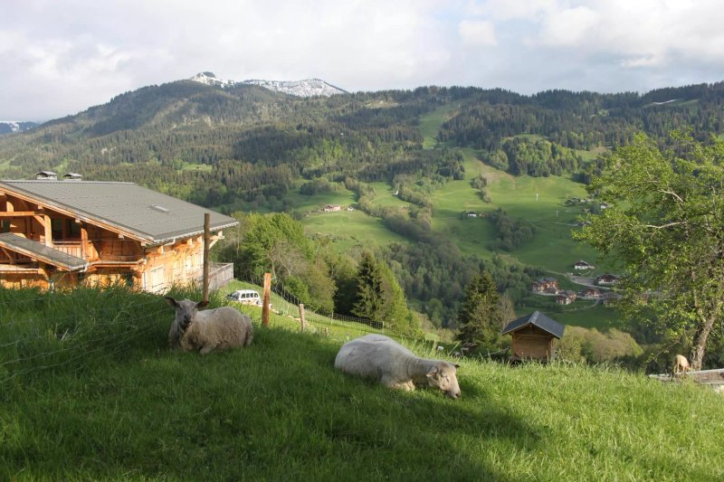 Chalet La Touvière