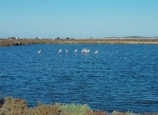 Bahia de Cadiz Natural Park