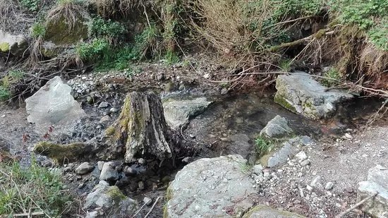 Torrente Simonina