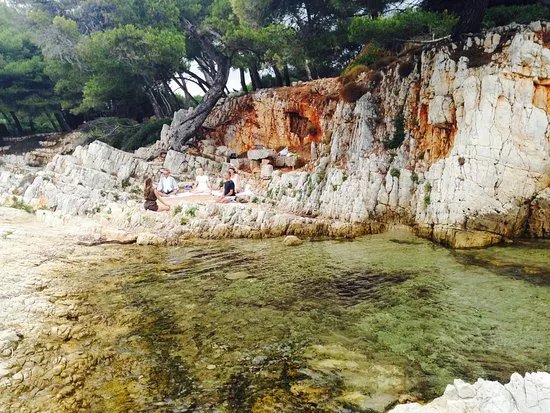 Yoga Limbs French Riviera