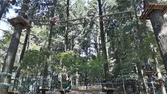 Jungle Raider Park