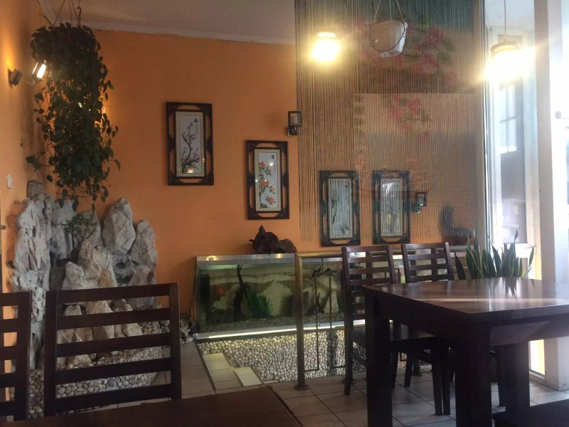 Bar Bon Sai Tran Thanh Ho