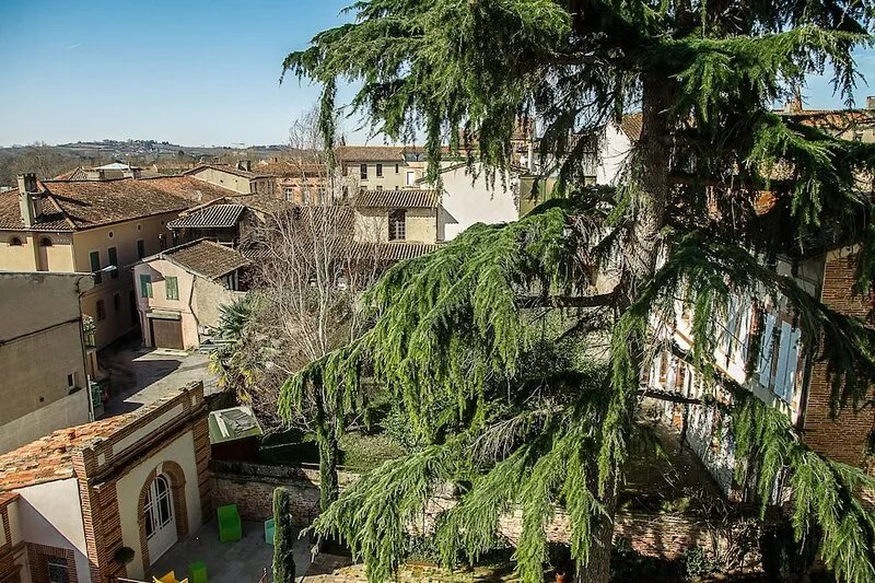 Croix de Pastel: 11 rooms - spa, hammam, swimming pool, garden