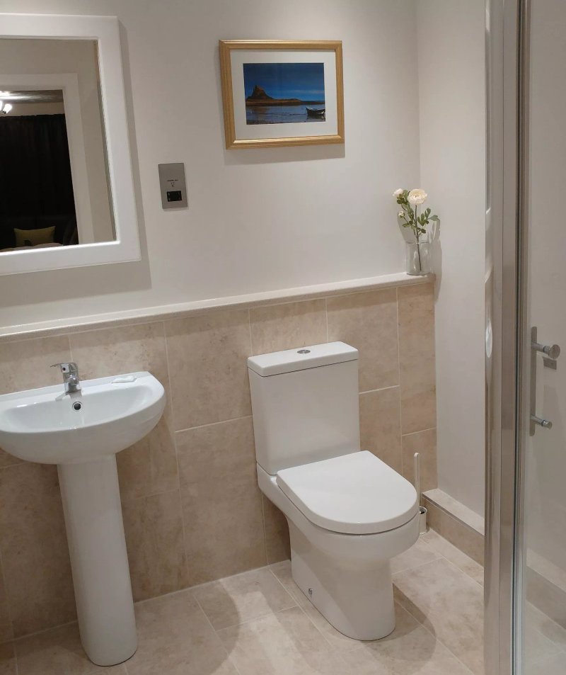 Swan Studios