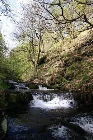 Gorpley Clough  Local Nature Reserve