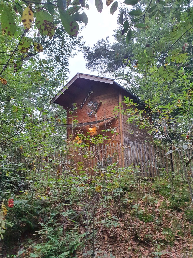 Camping Diever