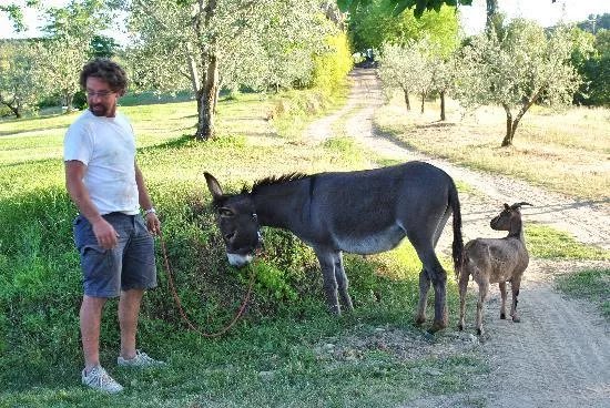 Agriturismo Bevignano