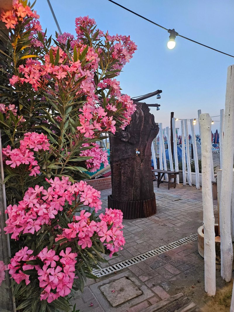 Bagno Isola 159 & Piscari Restaurant