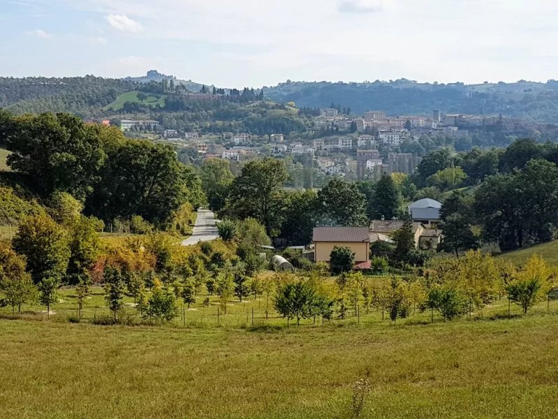 Agriturismo Borgo di Cortolla