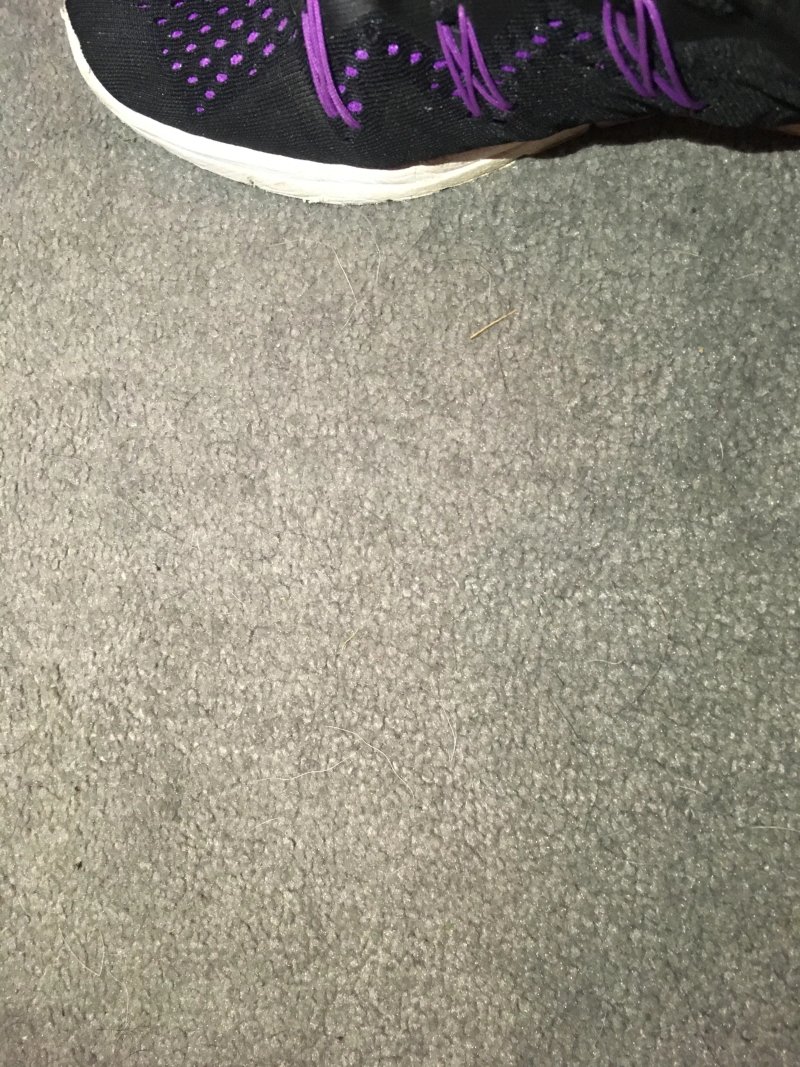 Welcome Holiday Flats