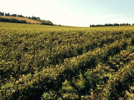 Domaine Rose et Paul