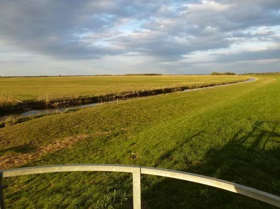 Nene Washes